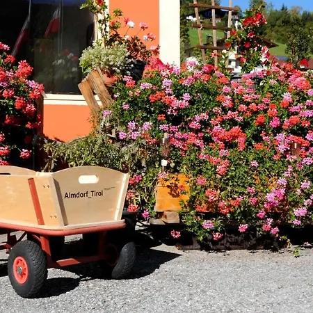 Almdorf Wildschonau Wild705 Prázdninový dům *